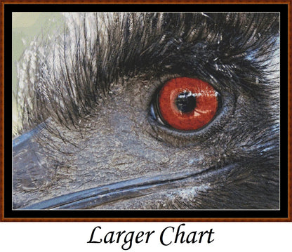 Emu View