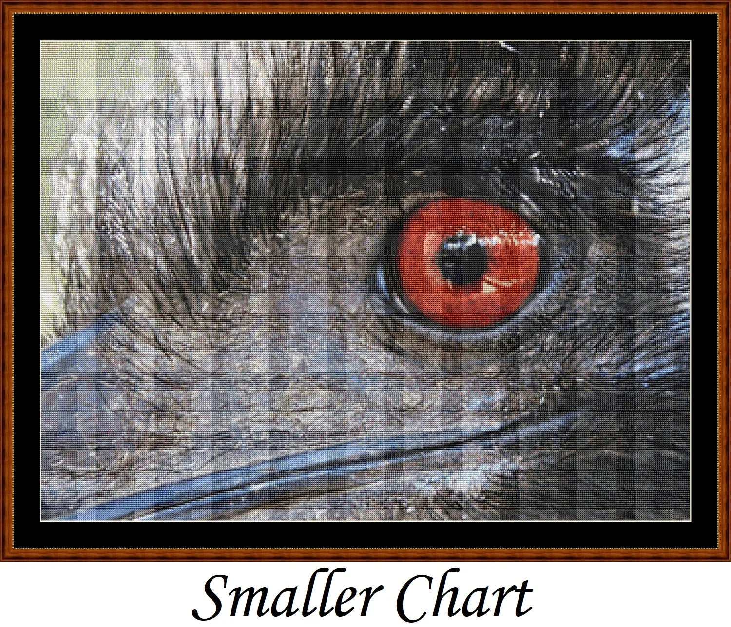 Emu View