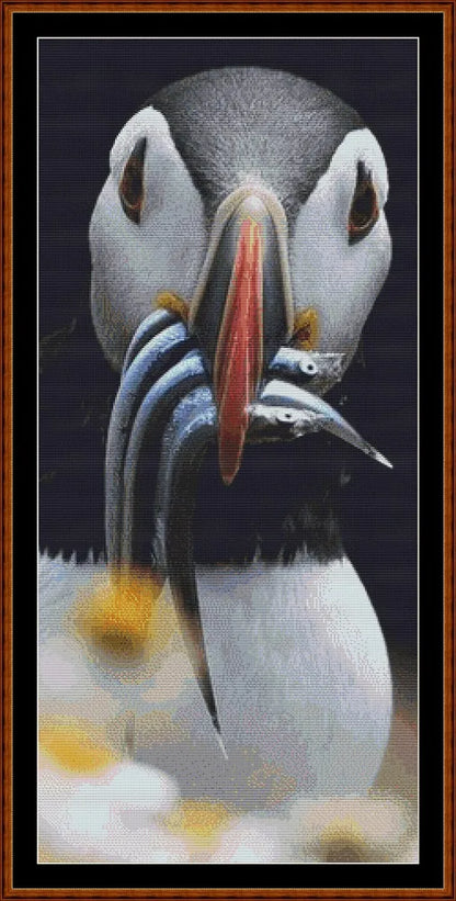 Puffin Snack