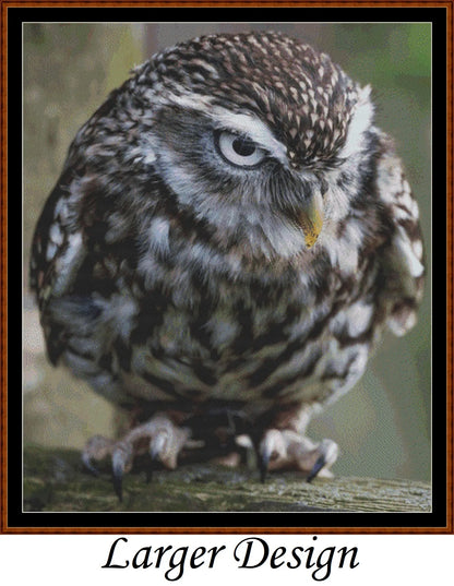 Angry Owl cross stitch patterns are a little owl design created from art by Paul Edney (ebor) under Public Domain CC0 license