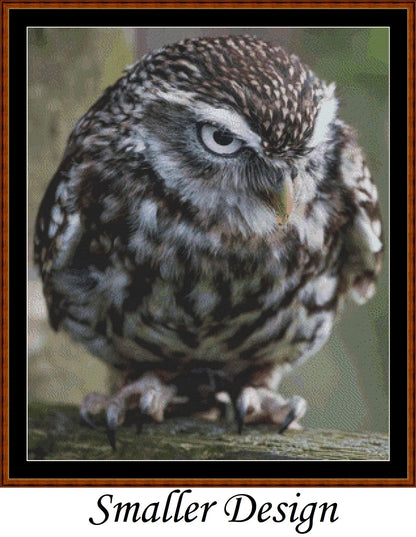 Angry Owl cross stitch patterns are a little owl design created from art by Paul Edney (ebor) under Public Domain CC0 license
