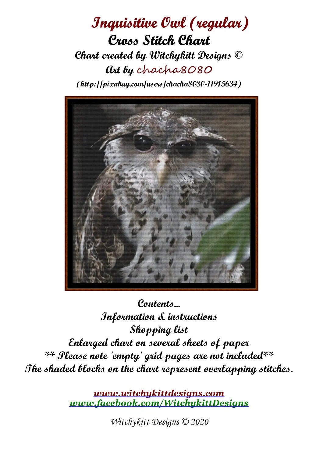 Inquisitive Owl
