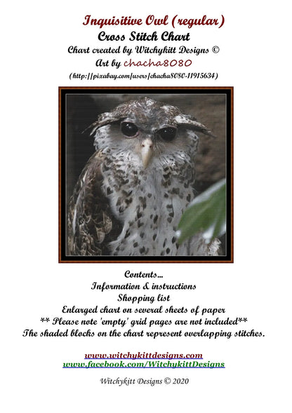 Inquisitive Owl