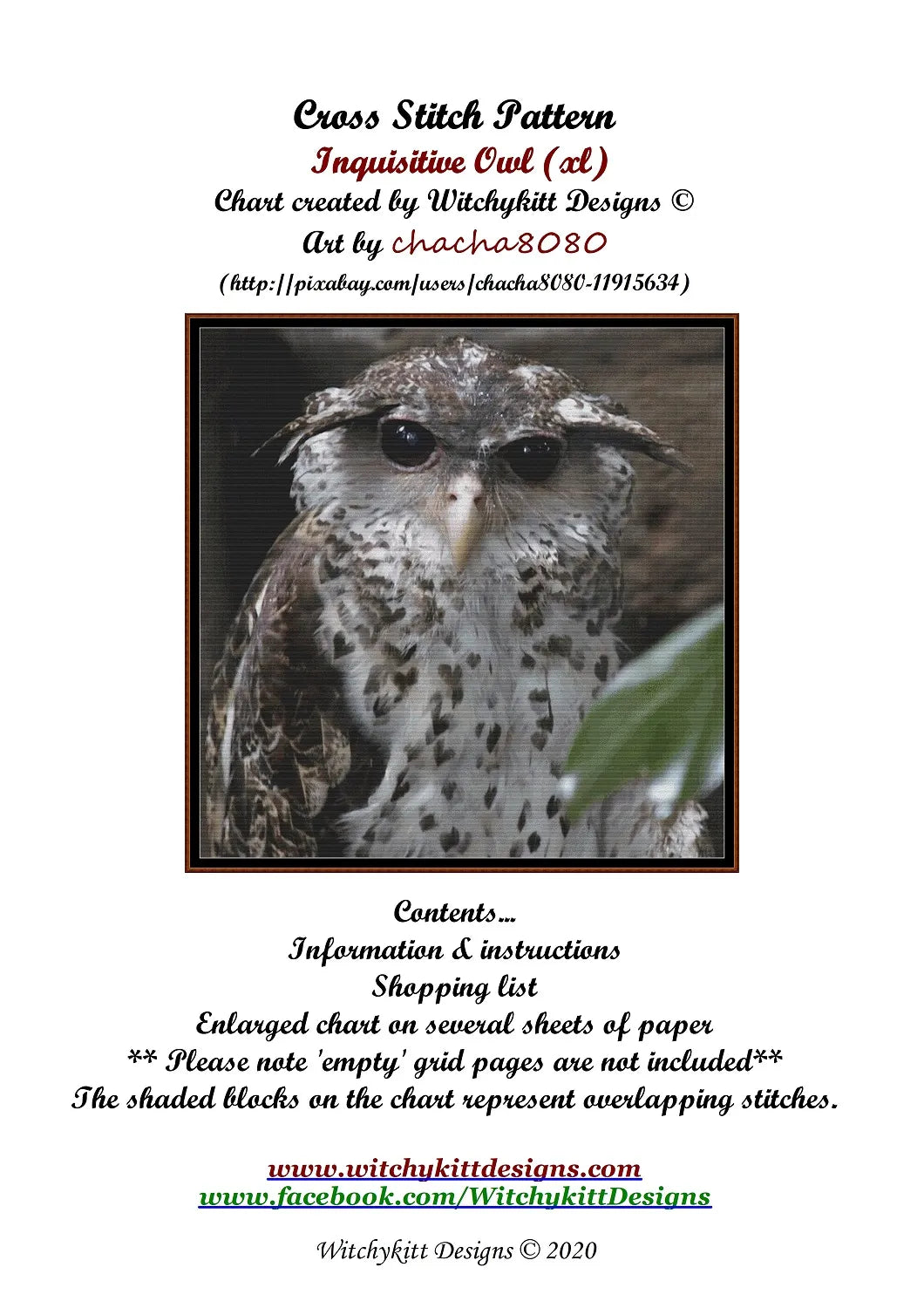 Inquisitive Owl