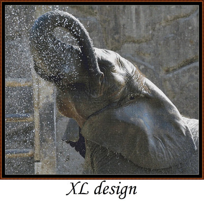 Elephant Shower