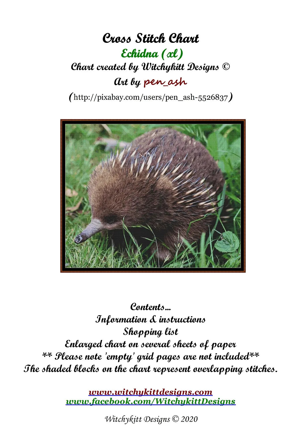 Echidna