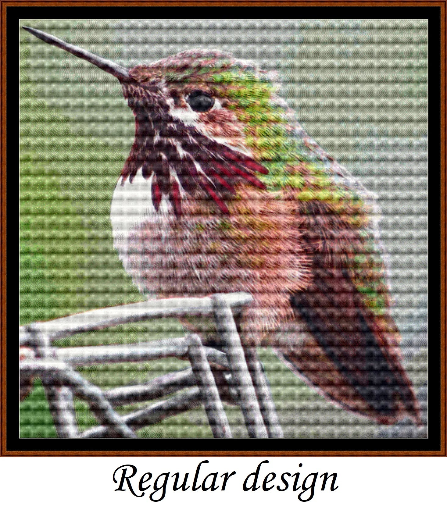 Hummingbird - Calliope