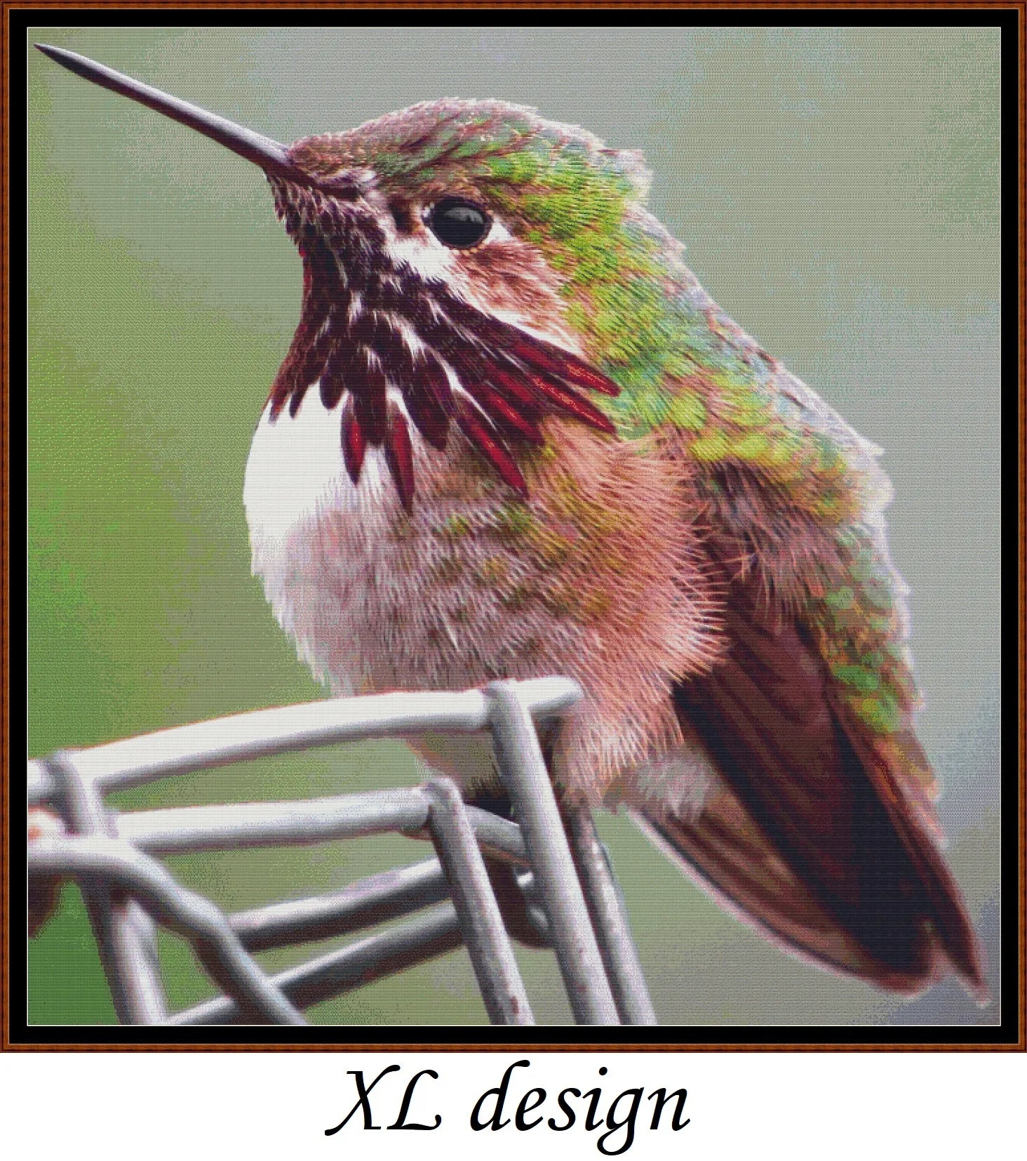 Hummingbird - Calliope
