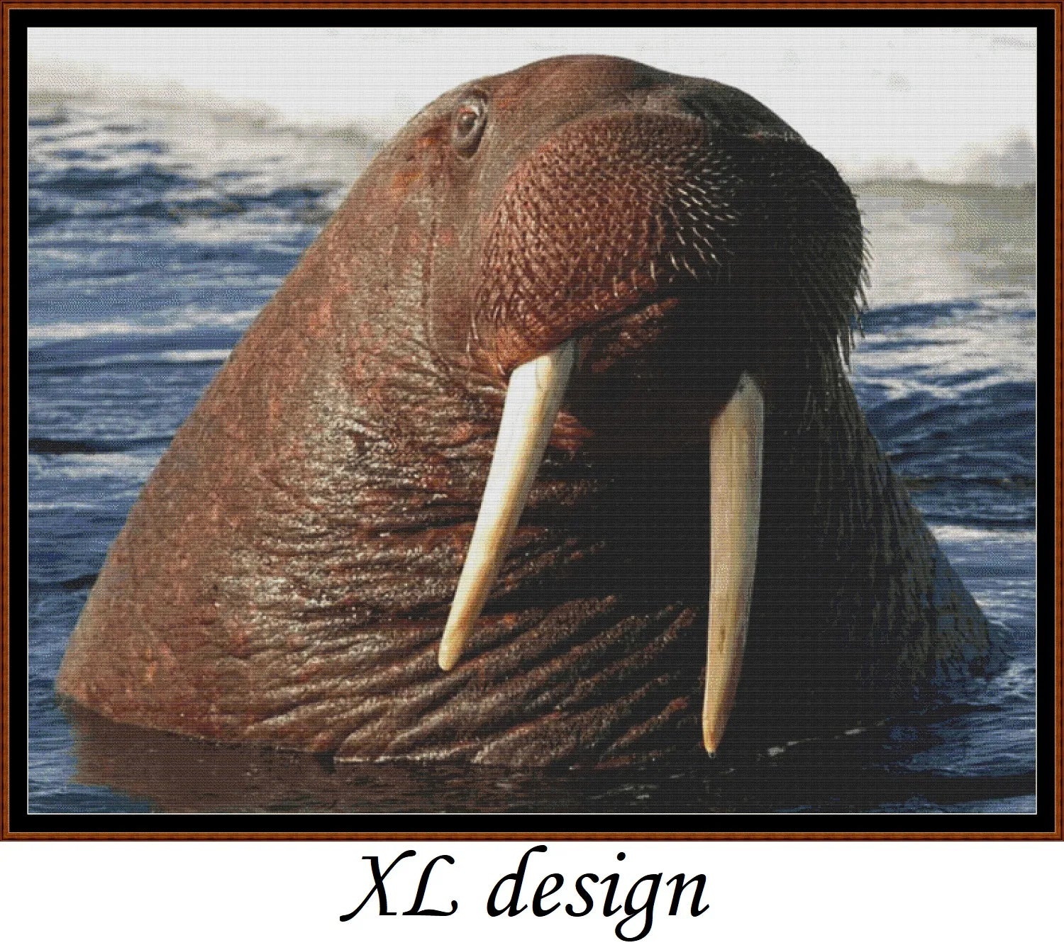Water Creatures - Walrus