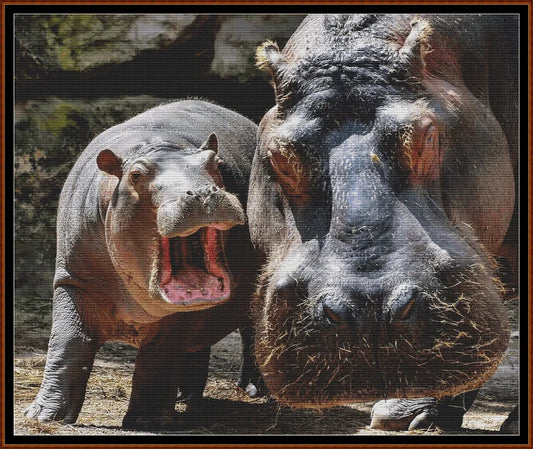 Hippo Mum & Baby