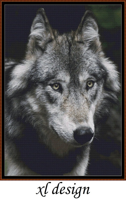 Wolf