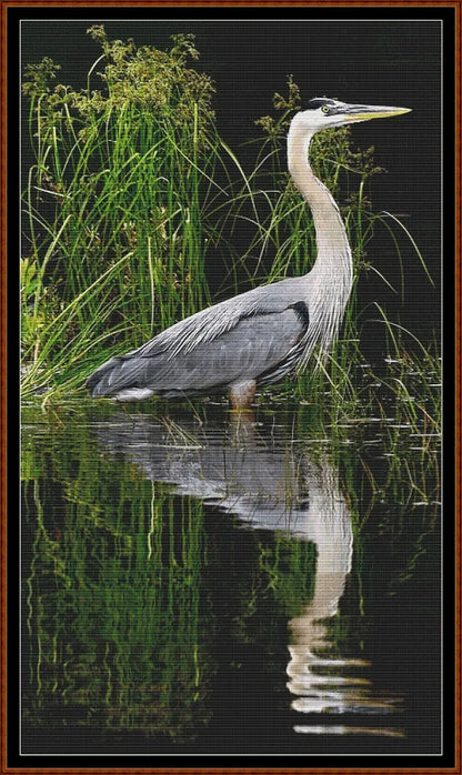 Reflections - Heron