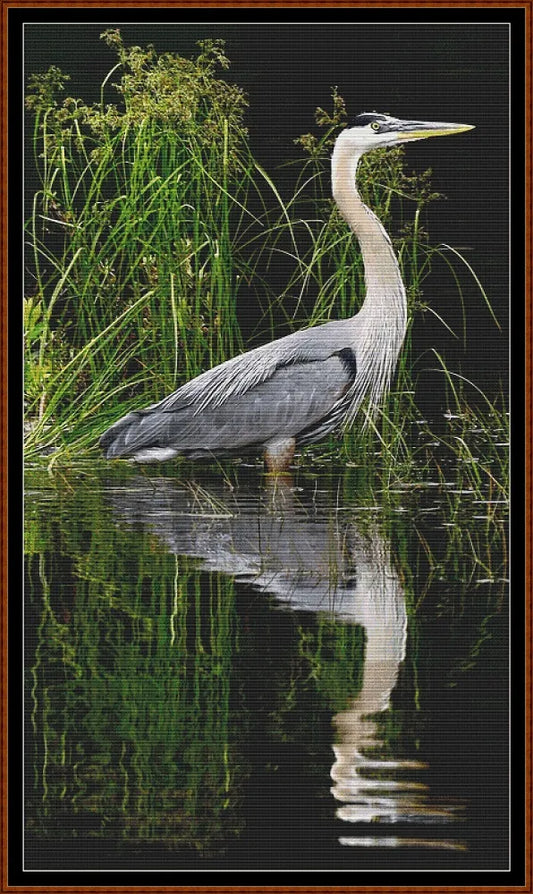 Reflections - Heron