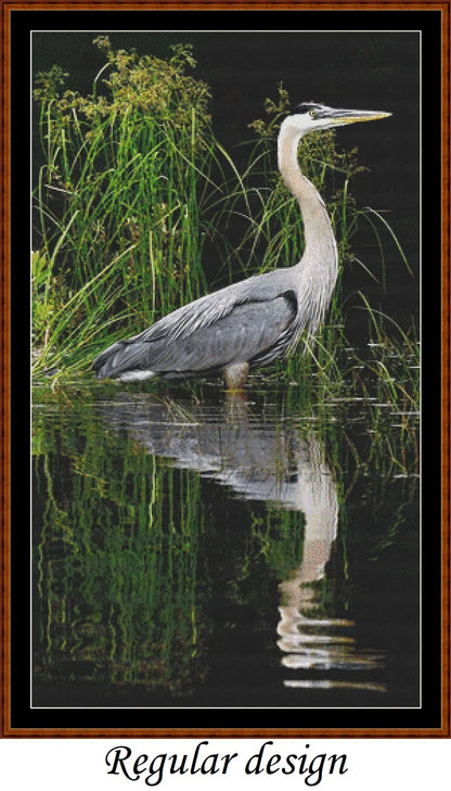 Reflections - Heron