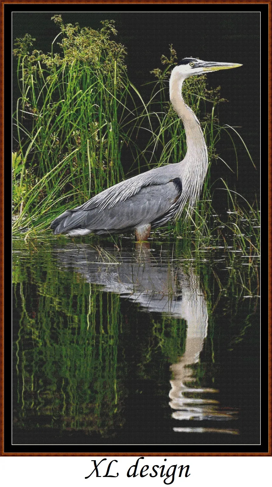 Reflections - Heron