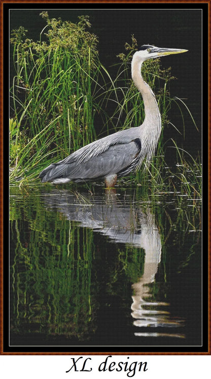 Reflections - Heron