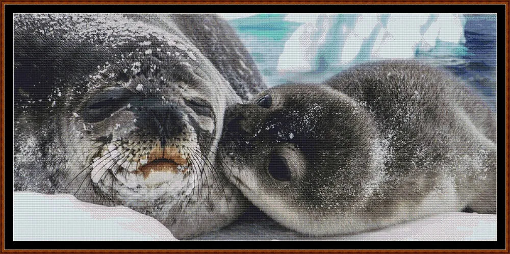 Seal Kisses