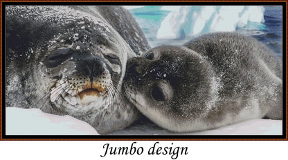 Seal Kisses