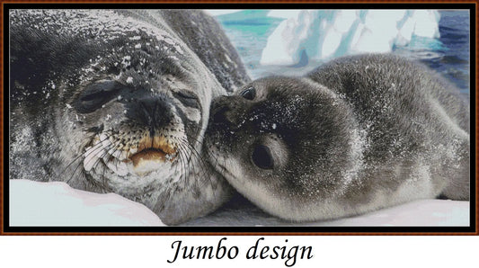 Seal Kisses