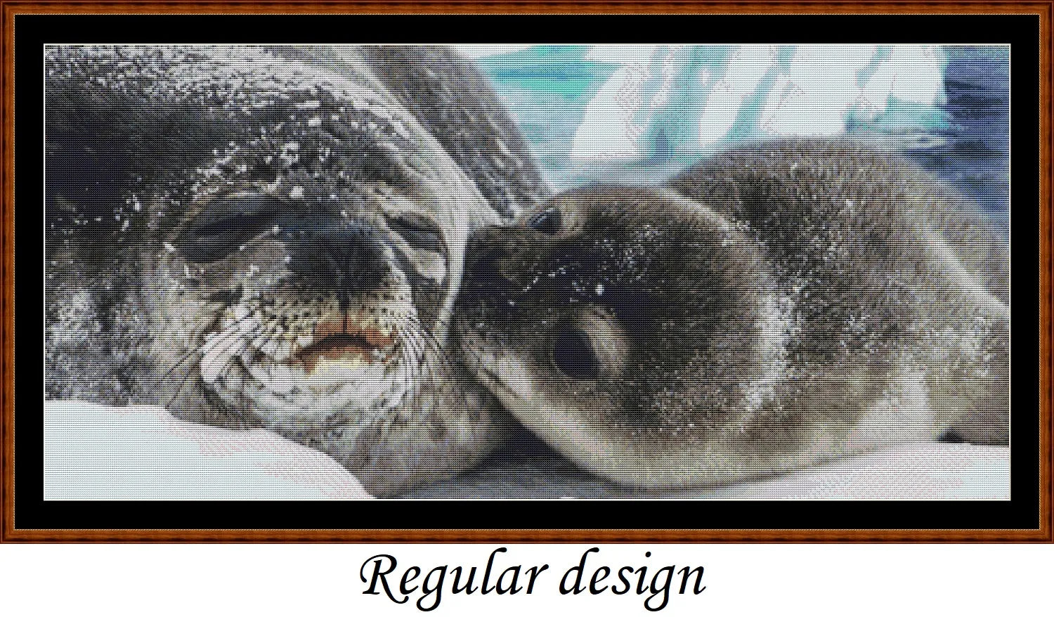 Seal Kisses