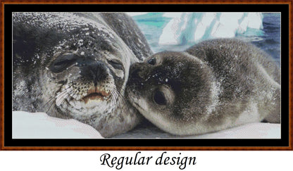 Seal Kisses