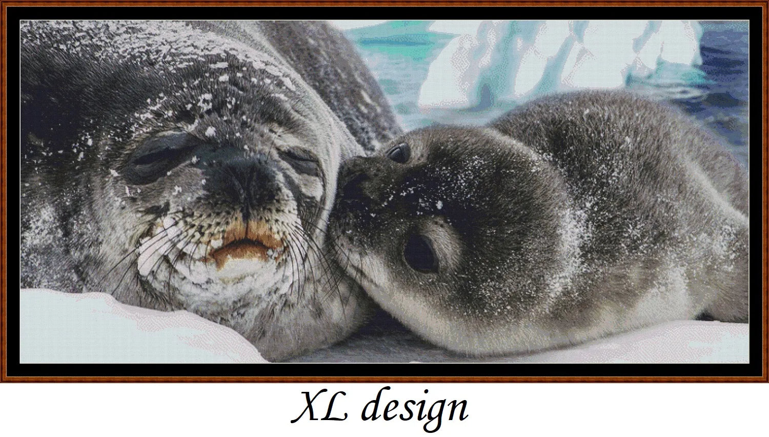 Seal Kisses
