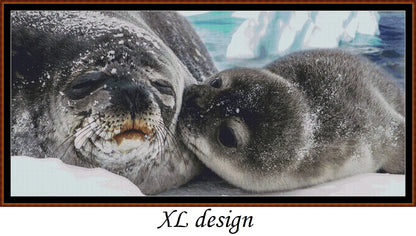 Seal Kisses