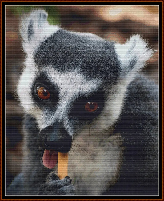 Tooth Pick