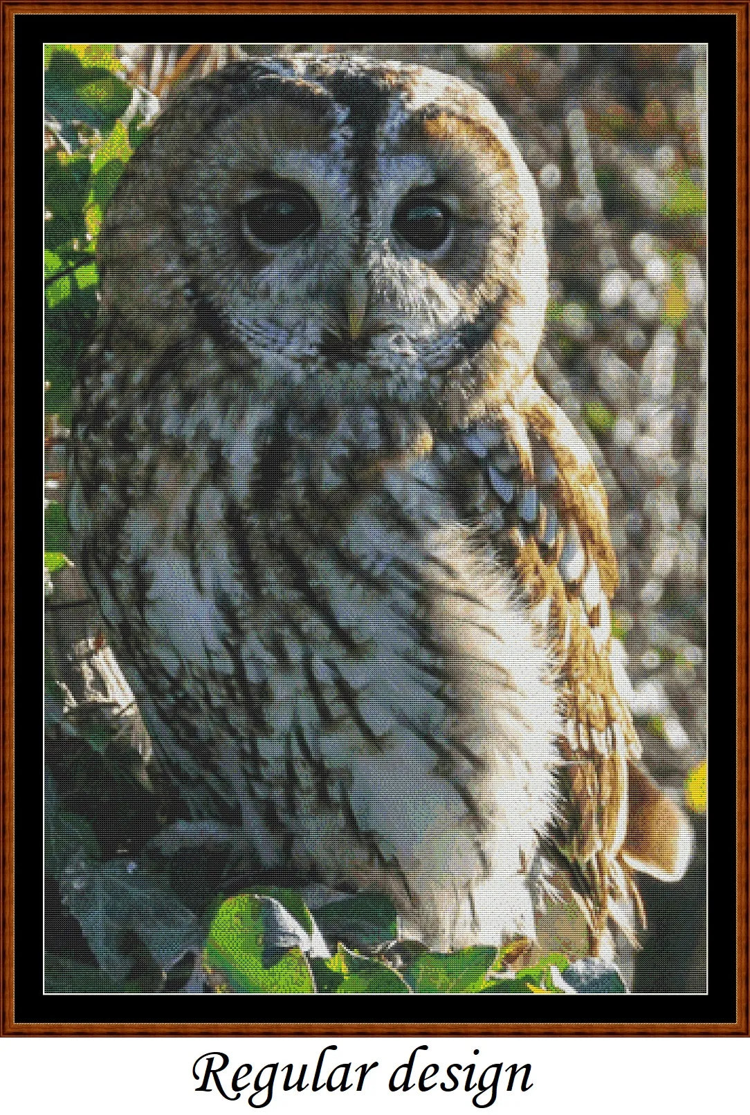 Tawny Owl