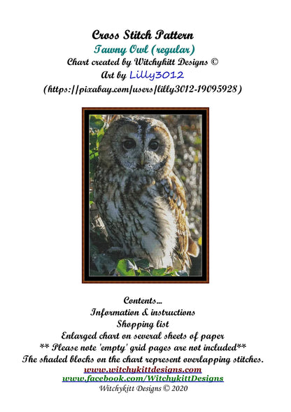 Tawny Owl