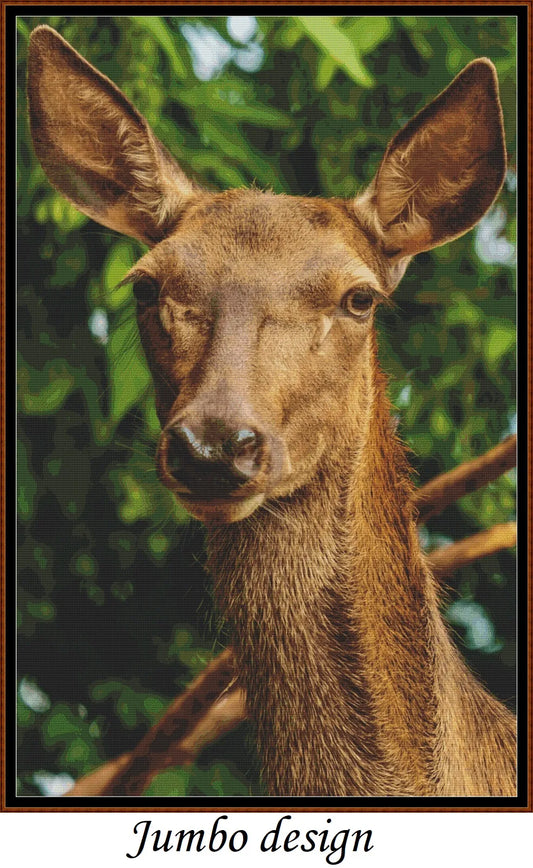 Red Deer Doe
