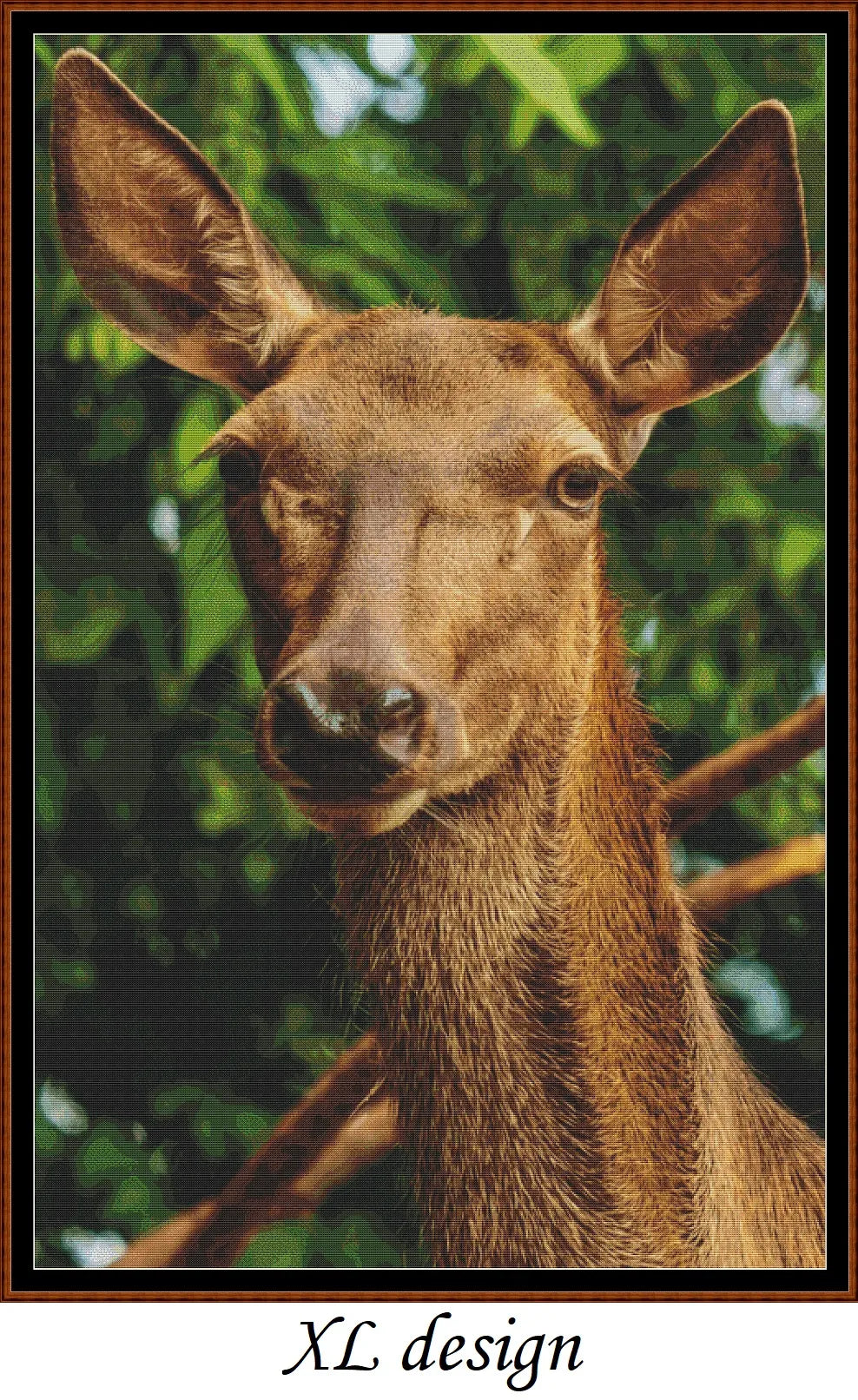 Red Deer Doe