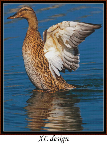 Mallard Duck - Female patterns created from a photo by NickyPe under CC0 license