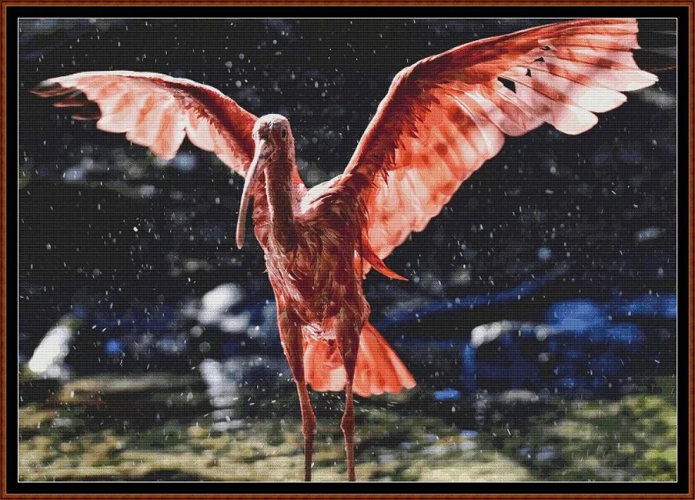 Scarlet Ibis