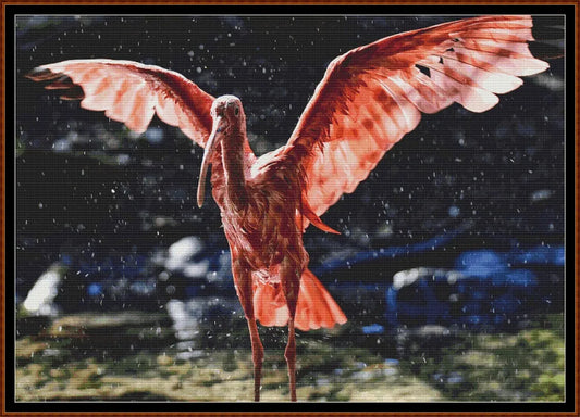 Scarlet Ibis