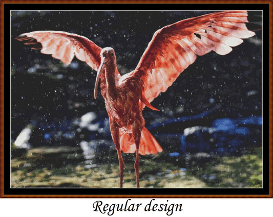 Scarlet Ibis