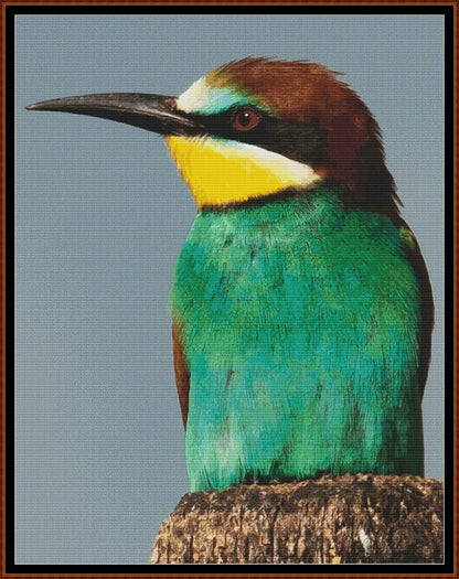 European Birds - Bee Eater