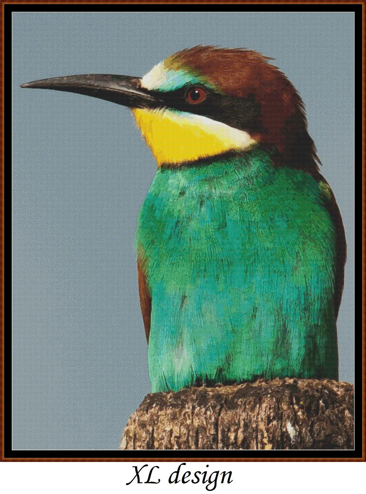 European Birds - Bee Eater