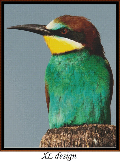 European Birds - Bee Eater