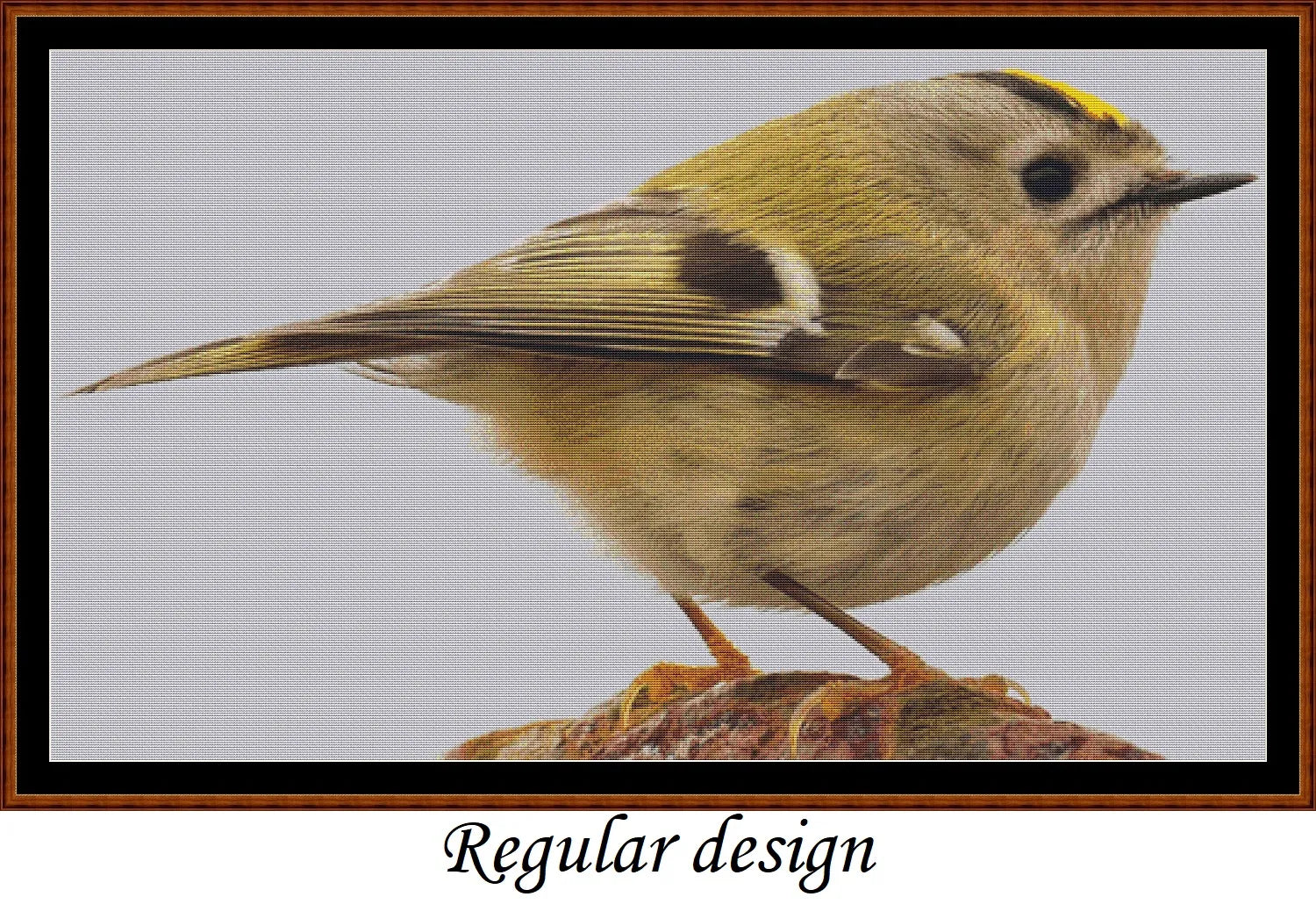 European Birds - Goldcrest