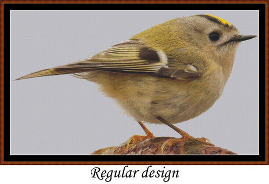European Birds - Goldcrest