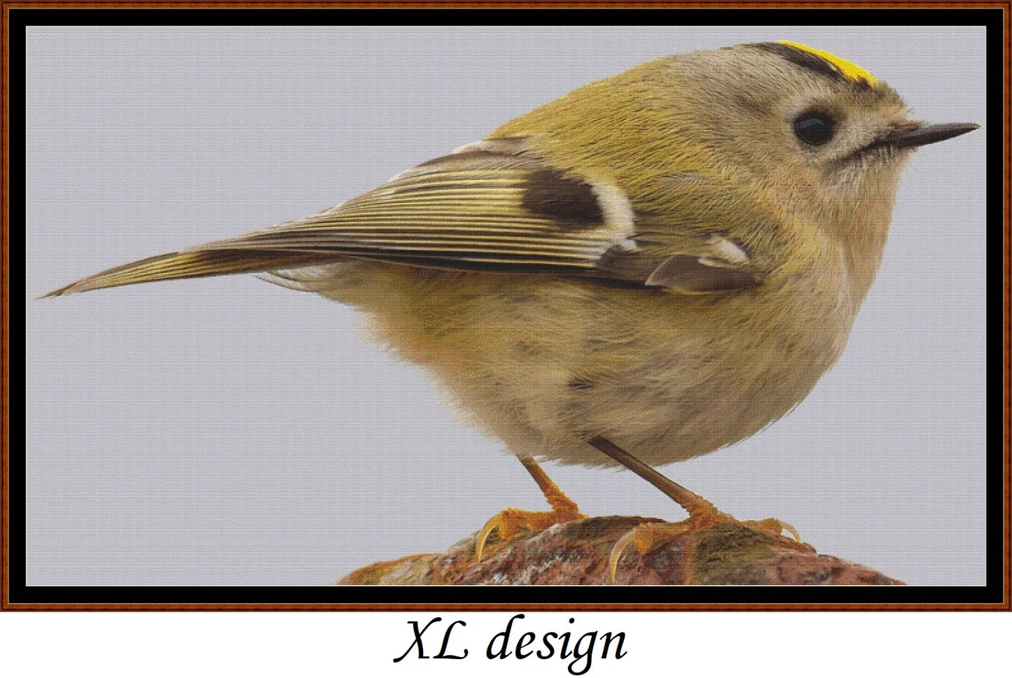 European Birds - Goldcrest