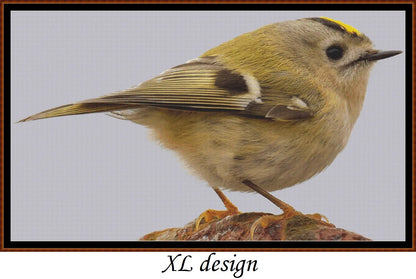 European Birds - Goldcrest