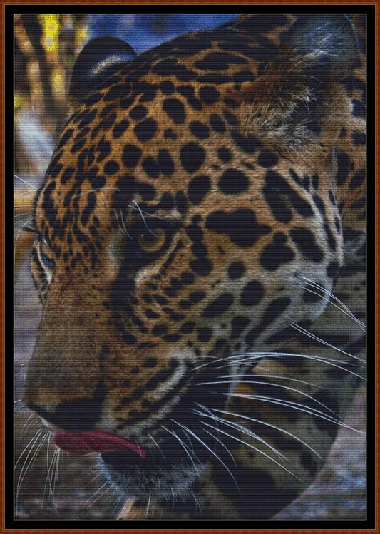 Leopard Face