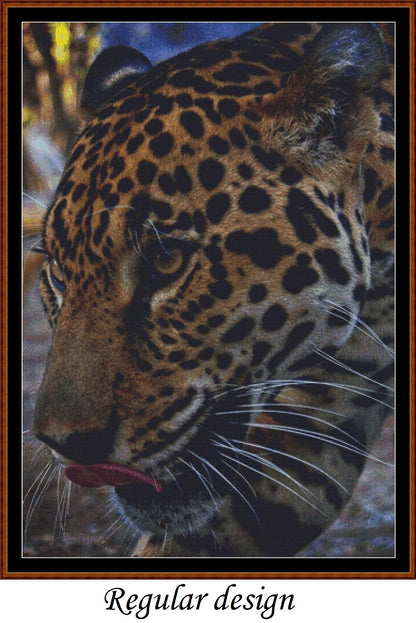 Leopard Face