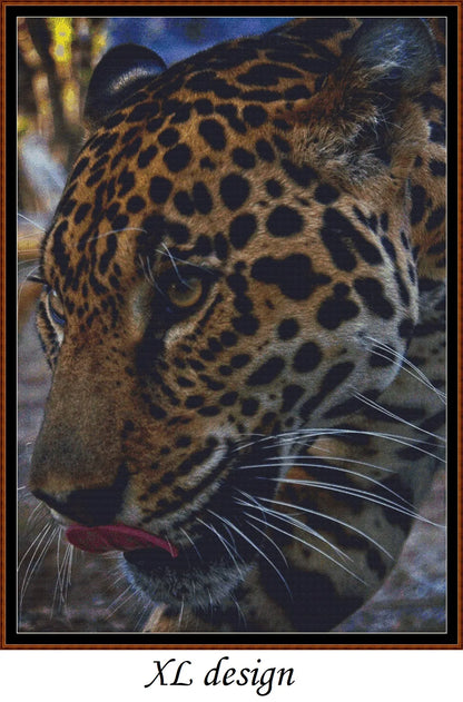 Leopard Face