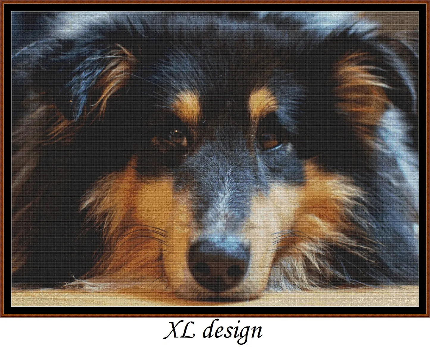 Sleepy Dogs - Shetland Sheepdog