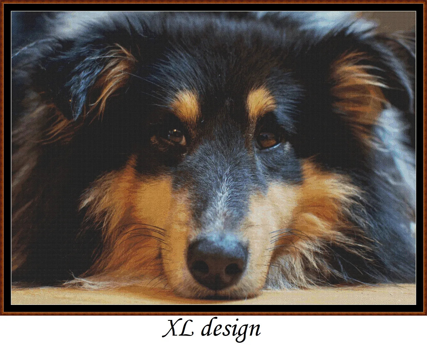 Sleepy Dogs - Shetland Sheepdog