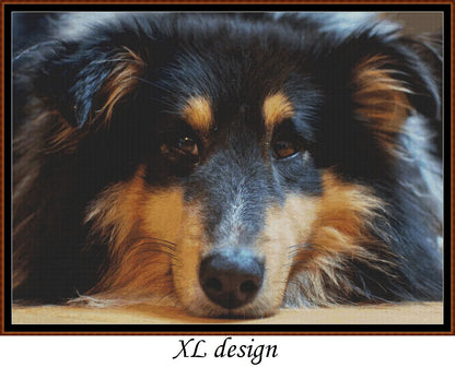 Sleepy Dogs - Shetland Sheepdog