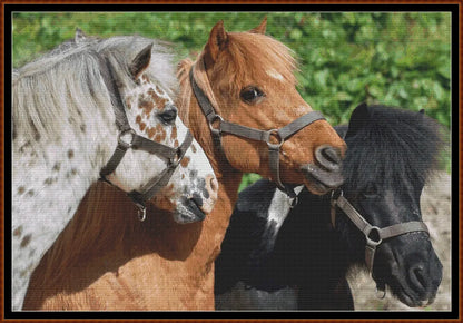 Ponies